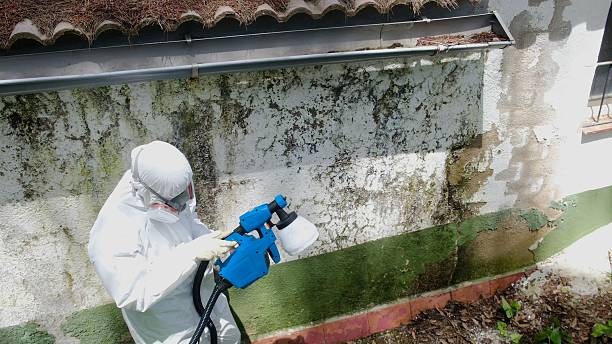 Top rated local Basement Mold Removal specialists in West Salisbury, PA